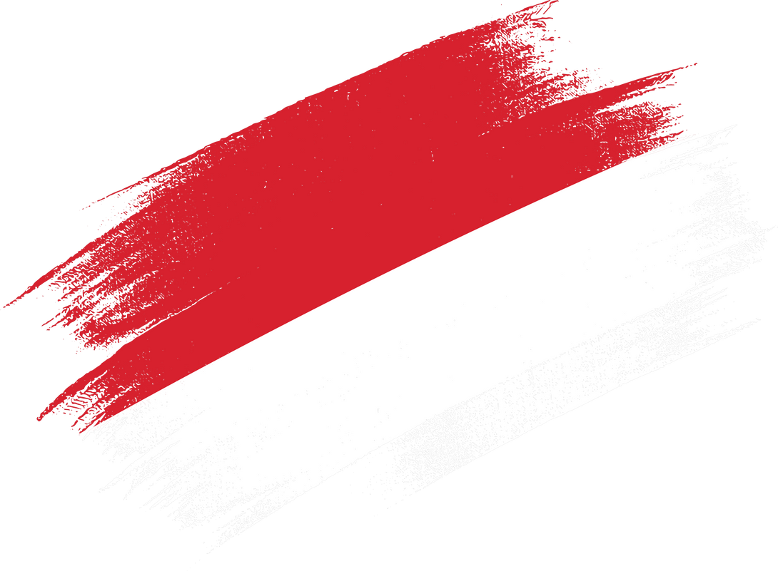 Indonesia flag with brush paint textured isolated